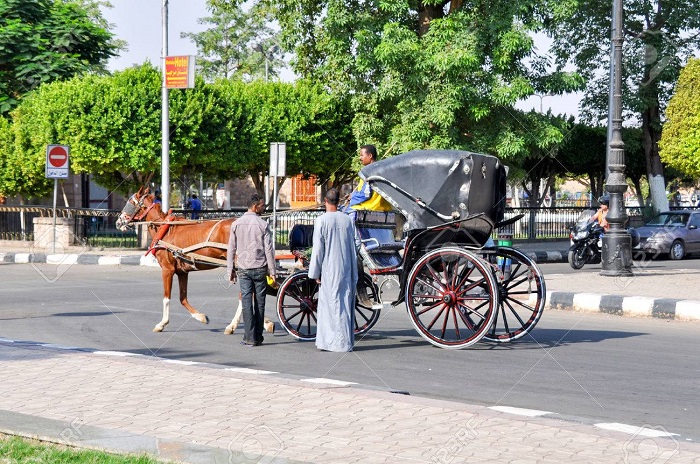 Aswan City Tour in Horse Carriage